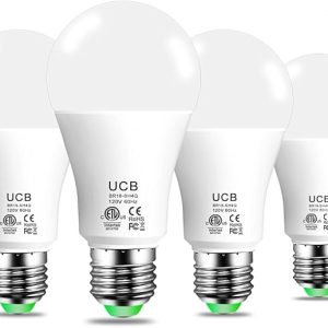A19 E26 Bluetooth LED Bulbs Work with Alexa Only for Bedroom Kitchen Living Office No WiFi Required 4 Pack